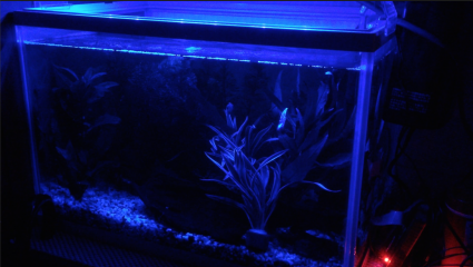 Raspberry Pi - Aquarium LED light control(2)